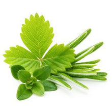 Load image into Gallery viewer, Italian Herbs Extra Virgin Olive Oil 250ml