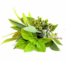 Load image into Gallery viewer, Herbes de Provence Extra Virgin Olive Oil
