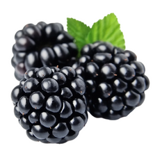 Load image into Gallery viewer, Blackberry Balsamic Vinegar
