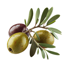 Load image into Gallery viewer, Italian Umbrian Extra Virgin Olive Oil
